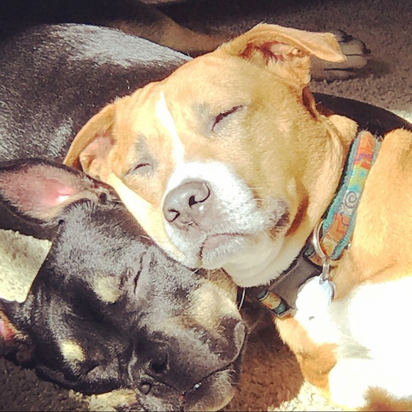 Meet your Posher, Sara πππ - Picture 3 of 8